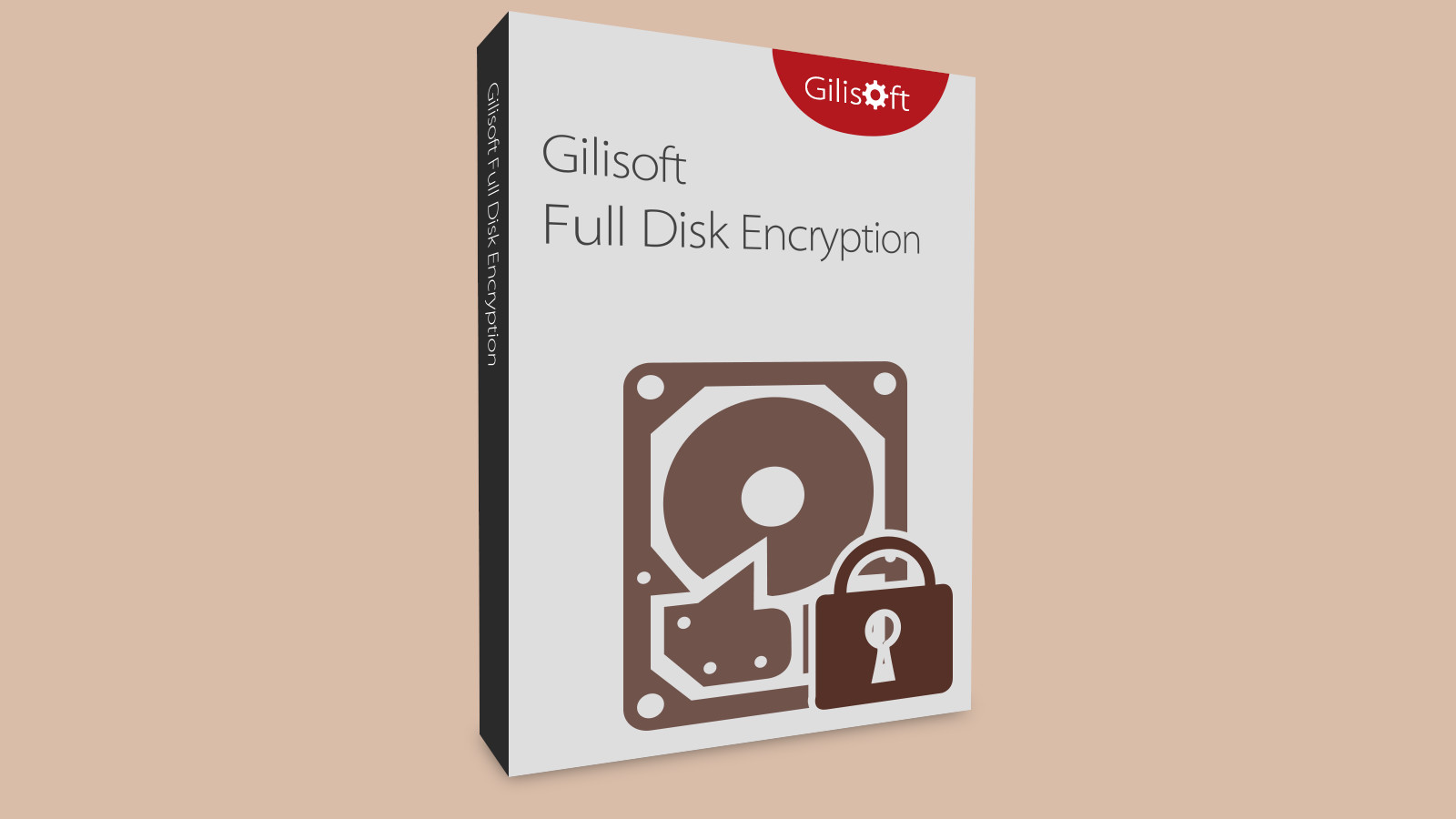 Gilisoft Full Disk Encryption CD Key screenshot 1