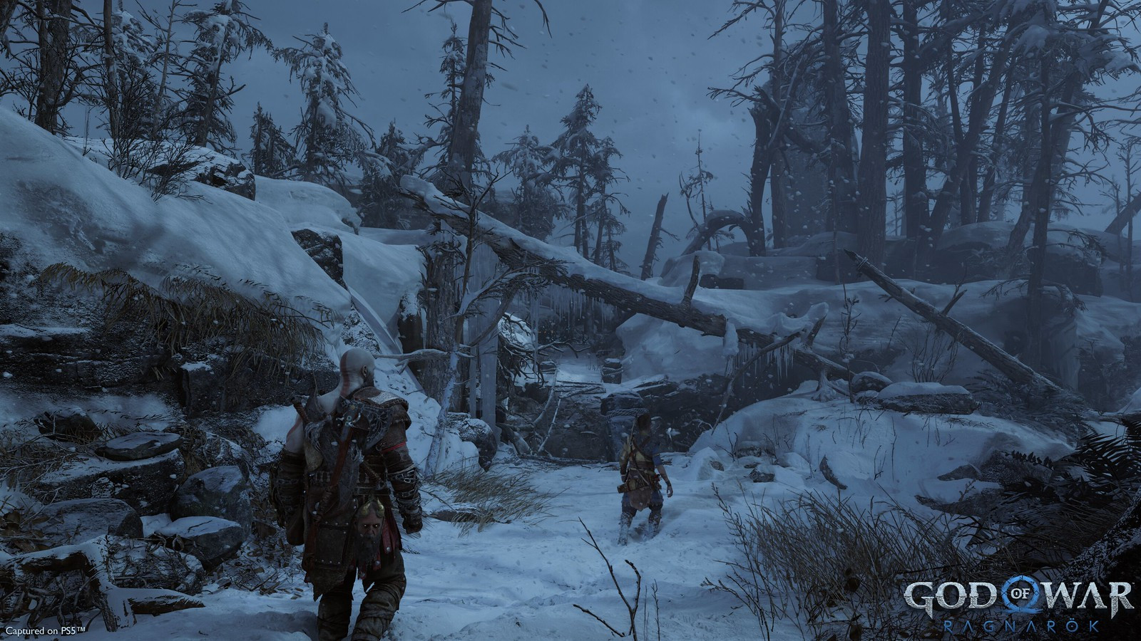 God Of War Ragnarök EU PS5 CD Key screenshot 2