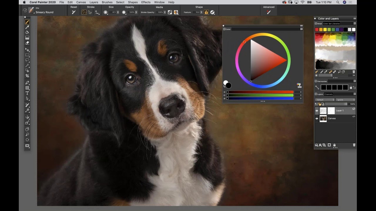 Corel Painter 2020 CD Key screenshot 2