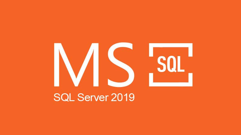 MS SQL Server 2019 CD Key screenshot 1