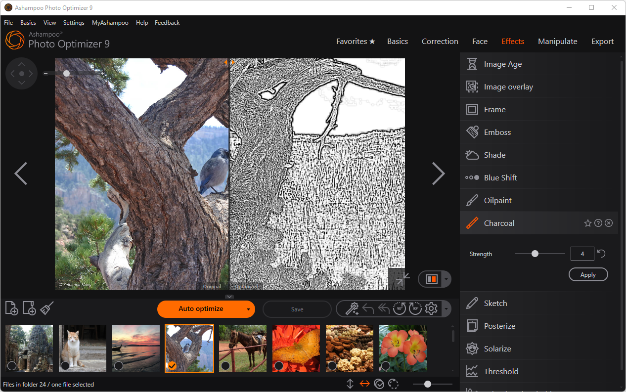 Ashampoo Photo Optimizer 9 Activation Key screenshot 3