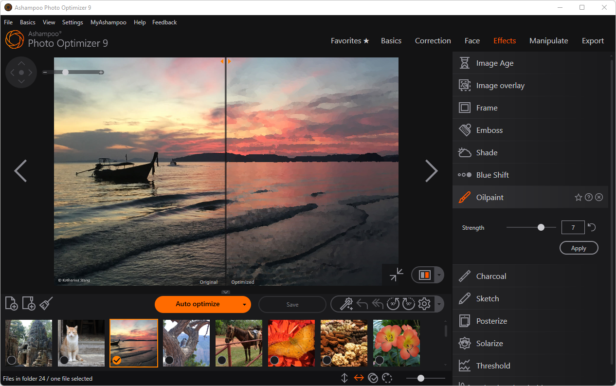 Ashampoo Photo Optimizer 9 Activation Key screenshot 5