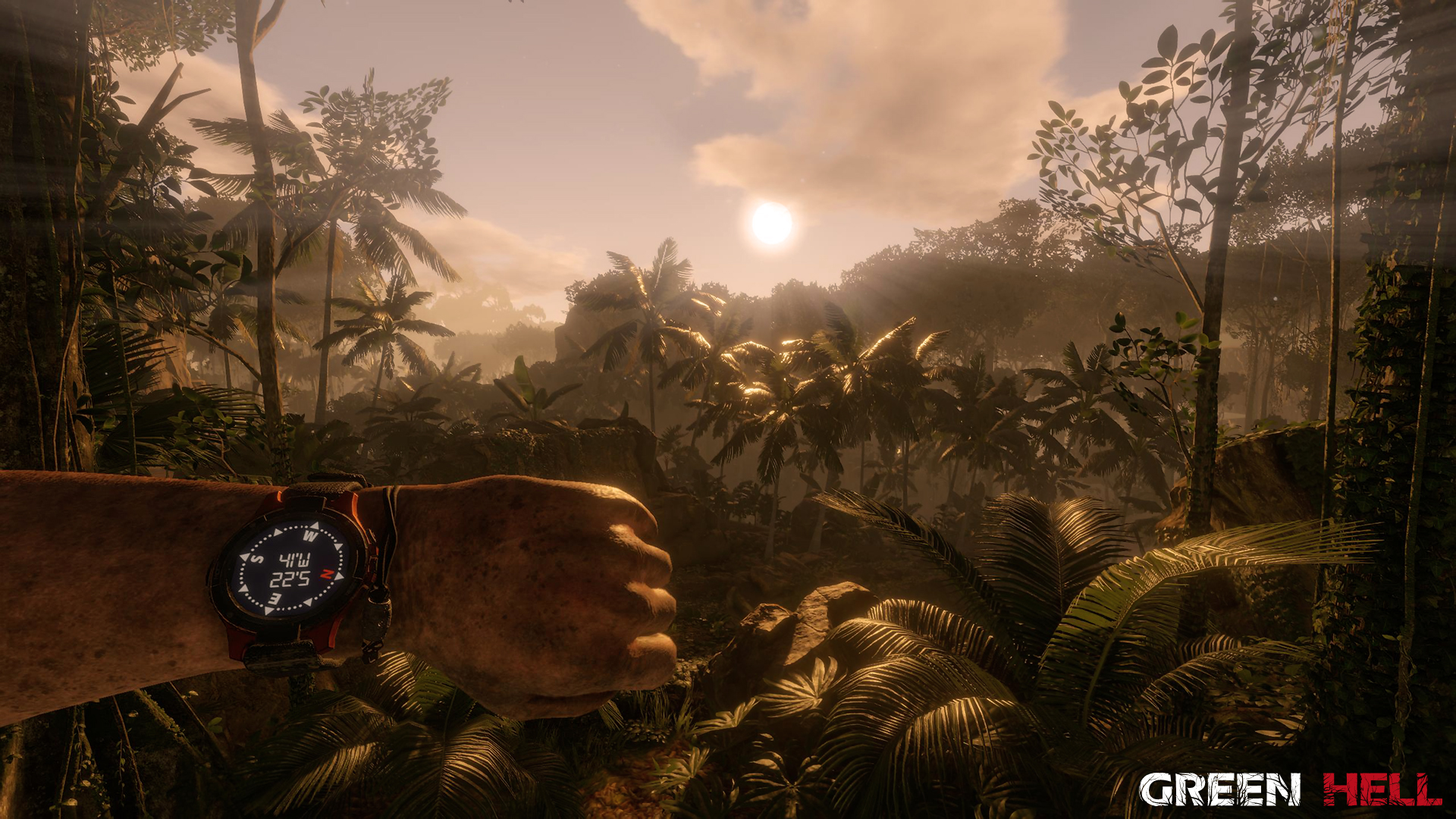 Green Hell EU XBOX One / Xbox Series X|S CD Key screenshot 8