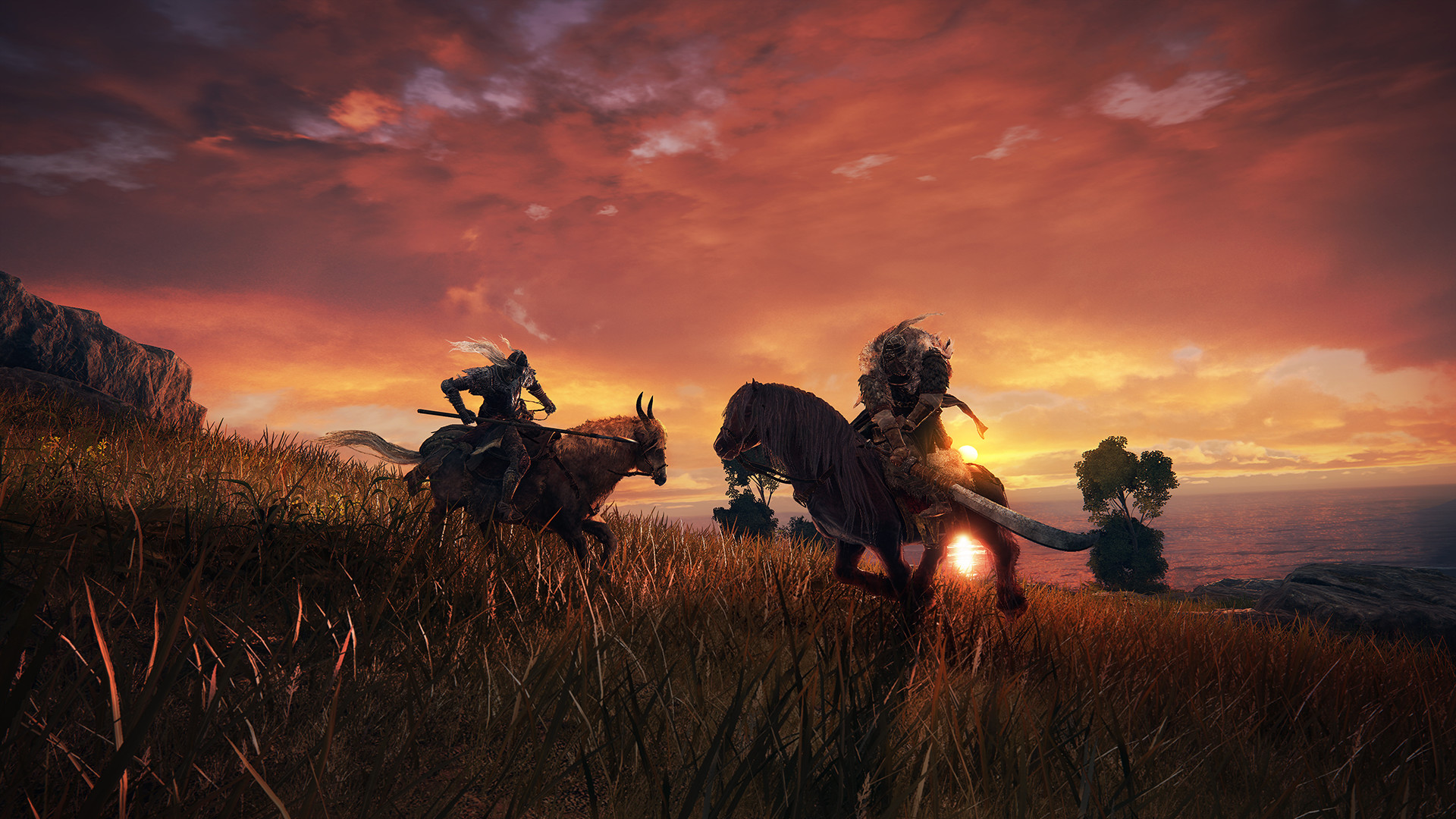 Elden Ring LATAM PC Steam CD Key screenshot 5