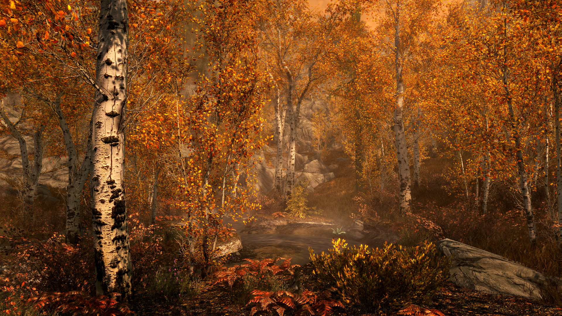 The Elder Scrolls V: Skyrim Anniversary Edition EU Xbox Series X|S CD Key screenshot 10