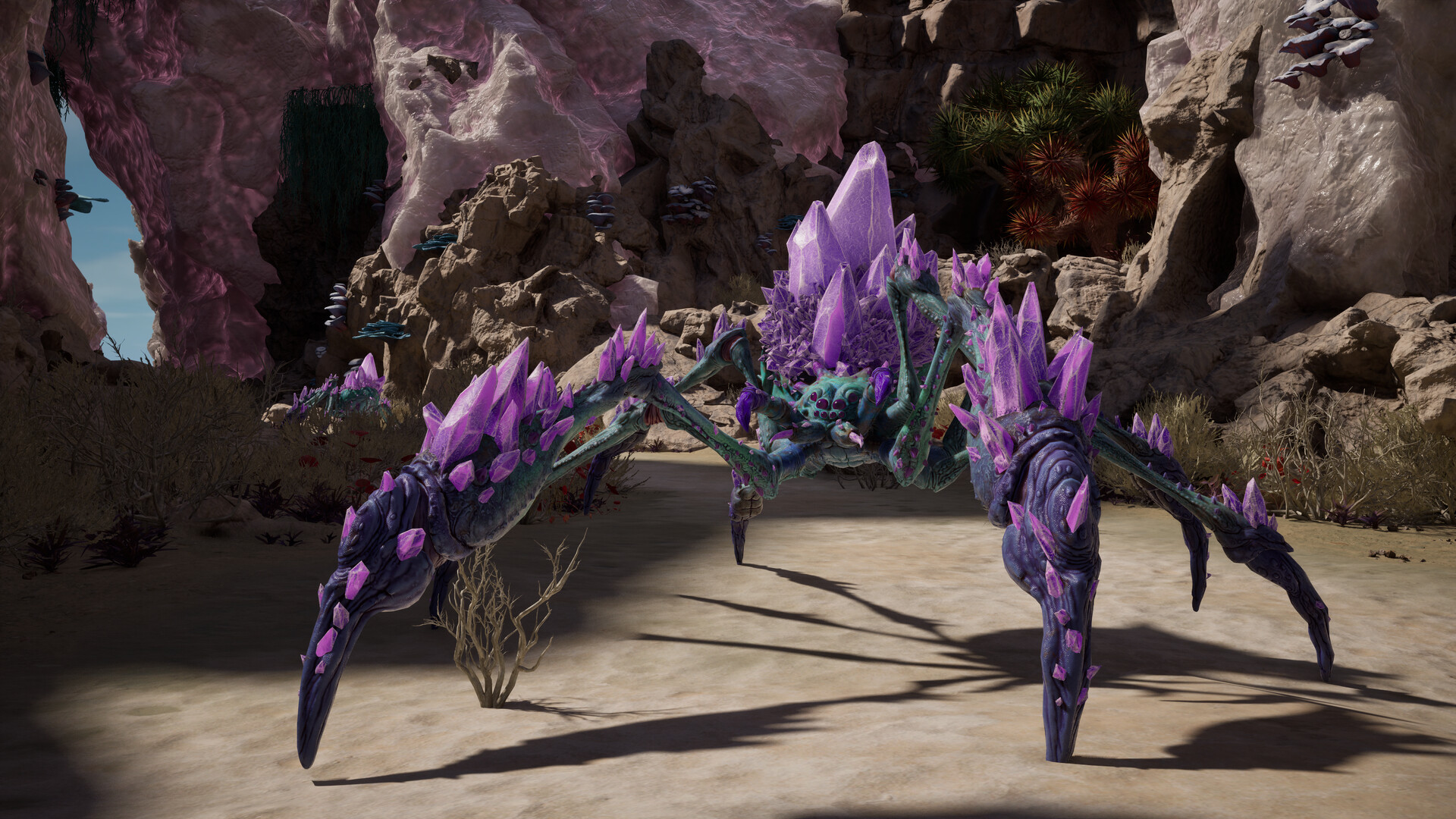 Avowed Premium Edition PC Battle.net Altergift screenshot 12
