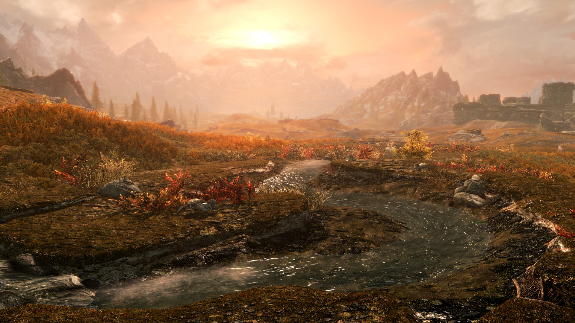 The Elder Scrolls V: Skyrim Anniversary Edition EU Xbox Series X|S CD Key screenshot 3