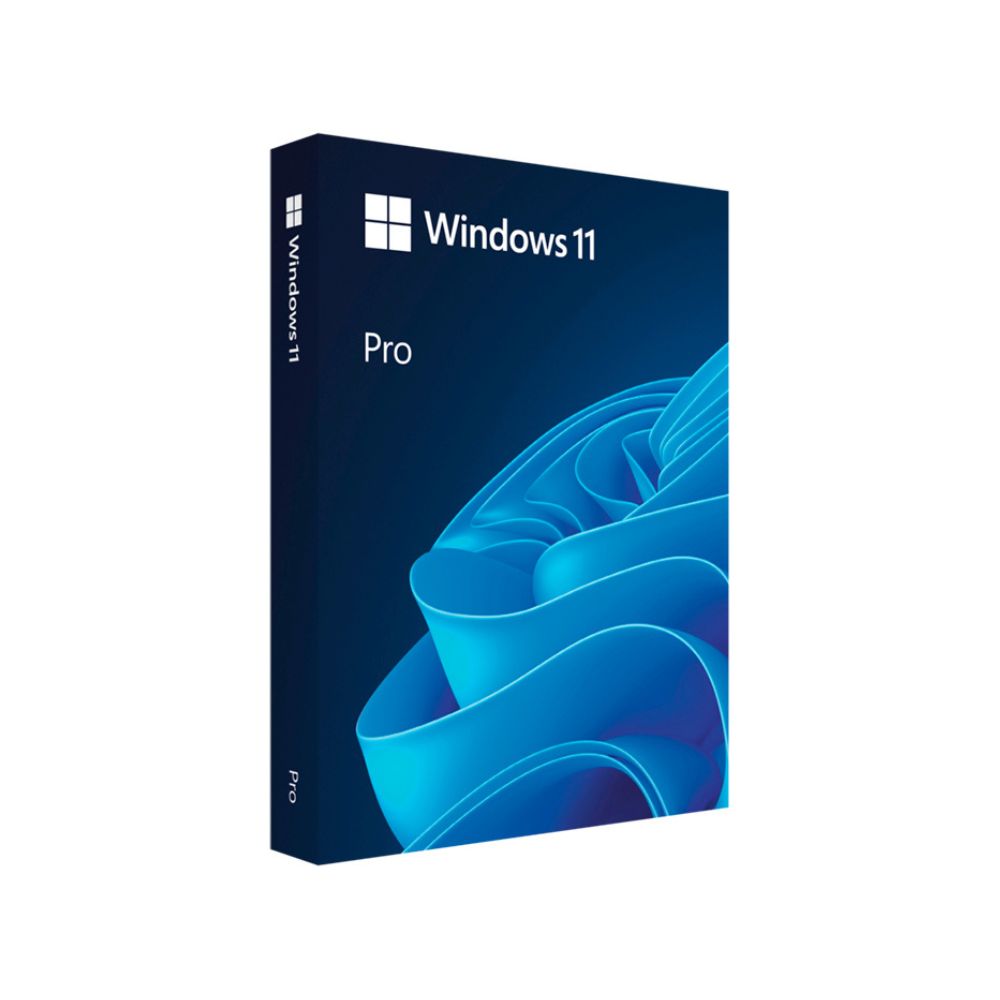 Windows 11